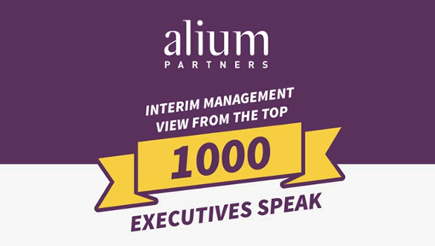 Interim Management, A View From The Top